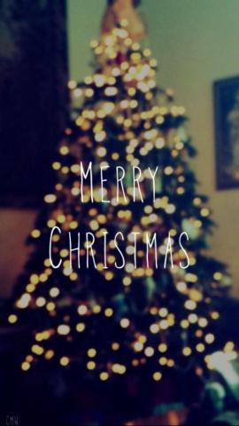 Merry Christmas uploaded by   on We Heart It