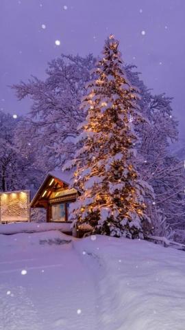 Beautiful snow scene so beautiful and lovely in winter