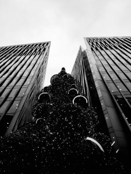 London Architecture Vs Christmas Tree.