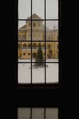 Christmas tree in Nesvizh Castle framed through a window