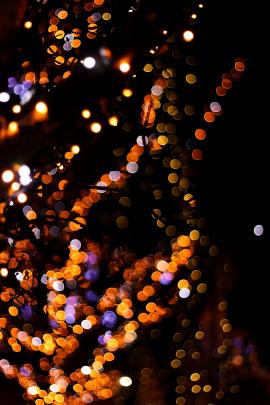 exposure on a tree wrapped up in christmas lights, bokeh 