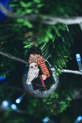Harry Potter and Christmas tree.