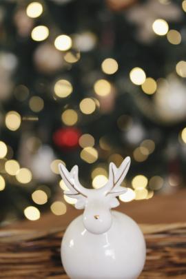 festive reindeer 