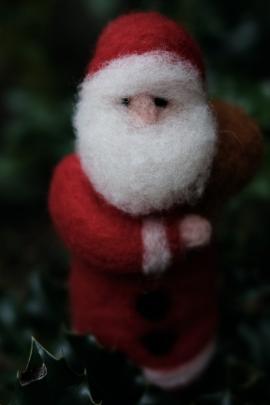 Santa Claus and holly - Nikolaus - christmas - Advent