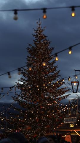 a christmas tree with many lights on a christmas market