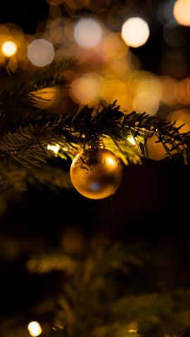 golden bauble hanging on a tree between lights