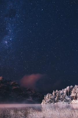Snowy forest under the stars