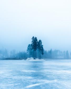 Frozen lake, frozen world.