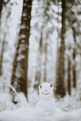 Snowman in winter wonderland