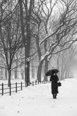 Snowy Central Park 