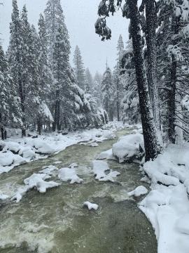 This is the creek directly running off from Yosemite Falls on a stormy winter day.