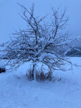 Wintertime in Austria 