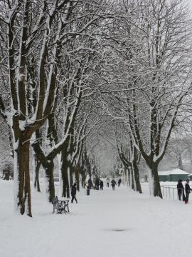 Winter Scene, People and trees in a snow filled country park