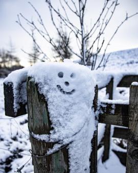 A smiley face in the snow on a gate in Knock Hill, Huntly.