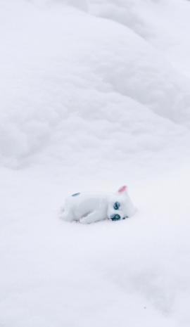 sleeping puppy in snow