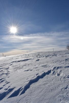 A snowy field under a blue sky, Sainte-Apolline, Québec, Canada