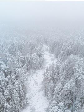 road in the winter forest from drone