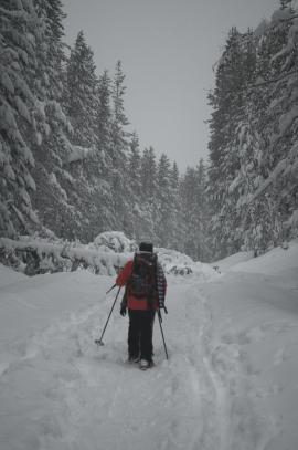 Snow shoeing adventure - Mt. Hood - Oregon