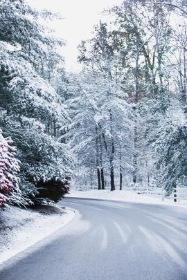 Winter wonderland in Kentucky.