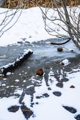Snow covered sticks and rocks on a frozen creek in Tahoe.