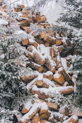 A pile of firewood covered in snow.