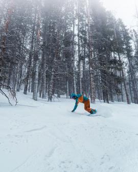 Snowboarder in a forest 