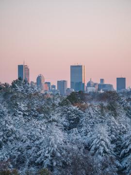 Early morning light shines off the skyline of Boston, MA the morning after the first snowfall of the year.  Taken from the top of Peter's Hill at the Arnold Arboretum.  