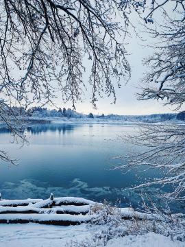 A peacefully winter lake ❄️