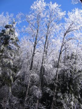 After one of the worst ice storms in recent Western NC weather history, a blue sky.