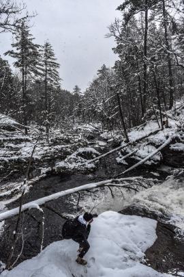 Walked down the trail to the waterfalls after a snow storm to find the trails were blocked by fallen trees.