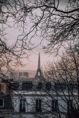 A brisk walk took me up to the top of Montmartre in the middle of the European winter. As I wandered, aimlessly admiring the Parisian skyline I noticed this break in the trees where the iconic monument peered through.
