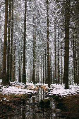 Shot while hiking through the Belgian Ardennes on our winter holiday.