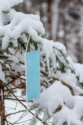 Corona Face Mask hanging on a spruce sapling/small spruce tree in Winter