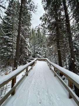 Winter hike in Colorado - crossing the bridge was the easy part.