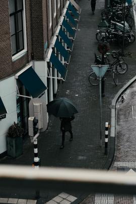 Person carrying an umbrella in The Hague
