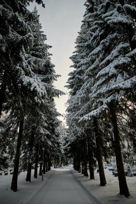 Winter alley in Finland