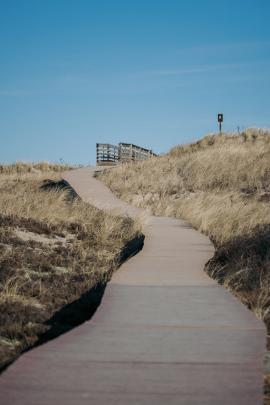 A boardwalk winding its way through the sandy dunes and to the ocean on a sunny winter day. 