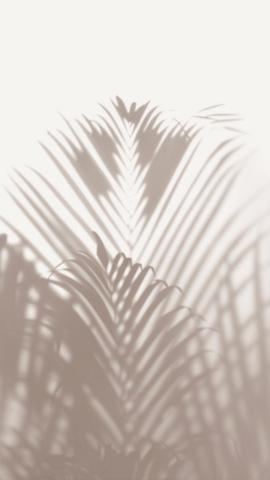 Download premium image of Aesthetic iPhone wallpaper minimal beige background by Teddy about palm tree shadow iphone wallpaper beige minimalist wallpaper minimal wallpaper iphone and leaves shadow 4060007
