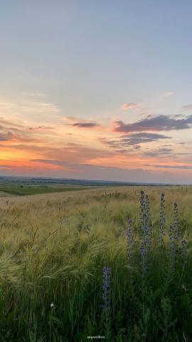 myuvibes on TikTok in 2022  Naturbilder Landschaftsbilder Fotografie natur