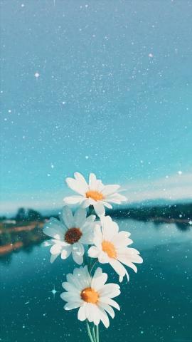this is filtered by me I do not own the orig photo wallpaper aesthetic ar  Flowers photography wallpaper Scenery wallpaper Beautiful wallpapers backgrounds