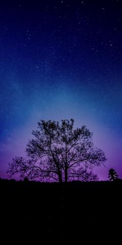 Tree galaxy sky silhouette 1080x2160 wallpaper