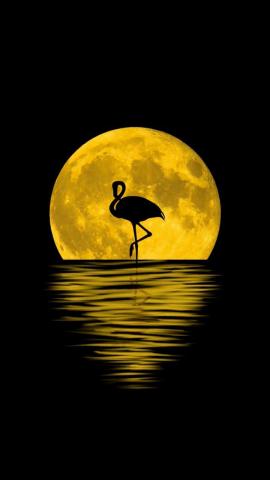 Flamingo moon silhouette reflections digital art 720x1280 wallpaper