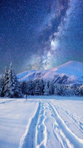 Fantastic Milky Way New Years Eve Stock Photo 231972850  Shutterstock