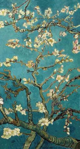 49 pinturas de Van Gogh adems de La noche estrellada