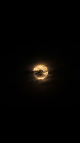 Pin de V Nithya VCapture em Moon  Fotos da lua Imagem de fundo para android Fotografia da lua