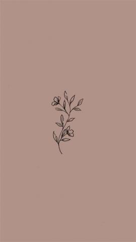 wallpaper phone iphone android simple aesthetic flowers roses pretty rosegold girly