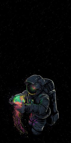 1198x2395 The Universe is under no obligation to make sense to you  Wallpaper
