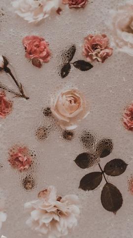 Roses wallpaper