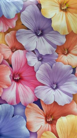 Summer Rain  Cute flower wallpapers Flowers photography wallpaper Flowery wallpaper