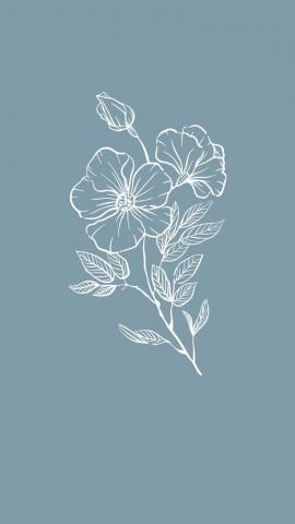 Pin by Lexi Hampton on Graphics  Simplistic wallpaper Flower graphic Iphone wallpaper photos